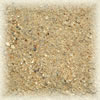 Sweet orange peels powder